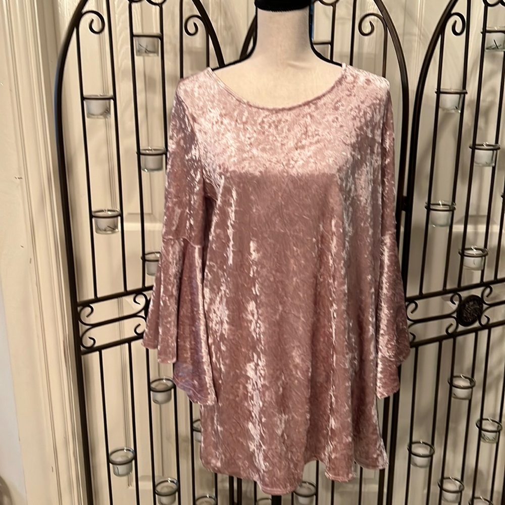 Pink, crushed velvet- looking fabric with bell sleeves.